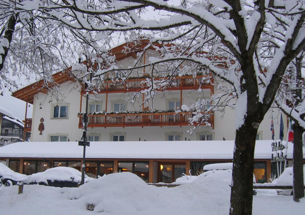 Hotel Los Andes Castello-Molina di Fiemme Exterior photo